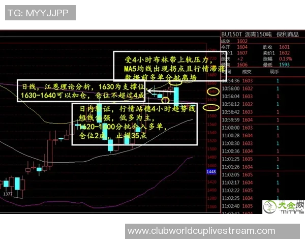 俄罗斯与沙特比赛数据分析及结果总结探讨